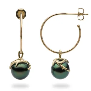 Heritage Tahitian Black Pearl Earrings in Gold - 9-10mm