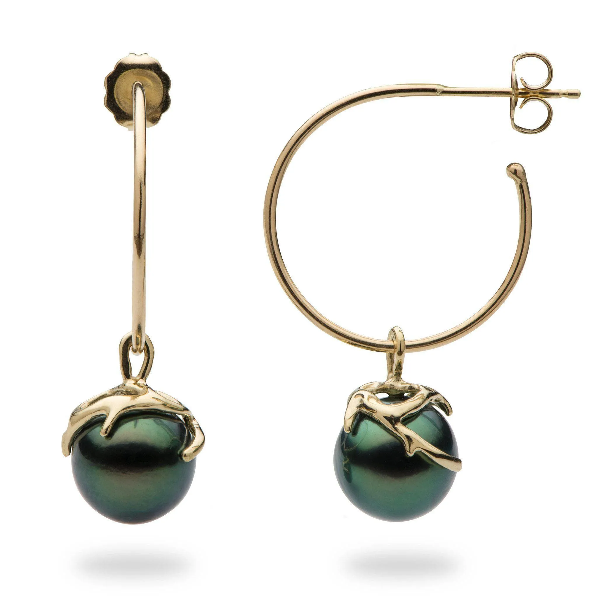 Heritage Tahitian Black Pearl Earrings in Gold - 9-10mm