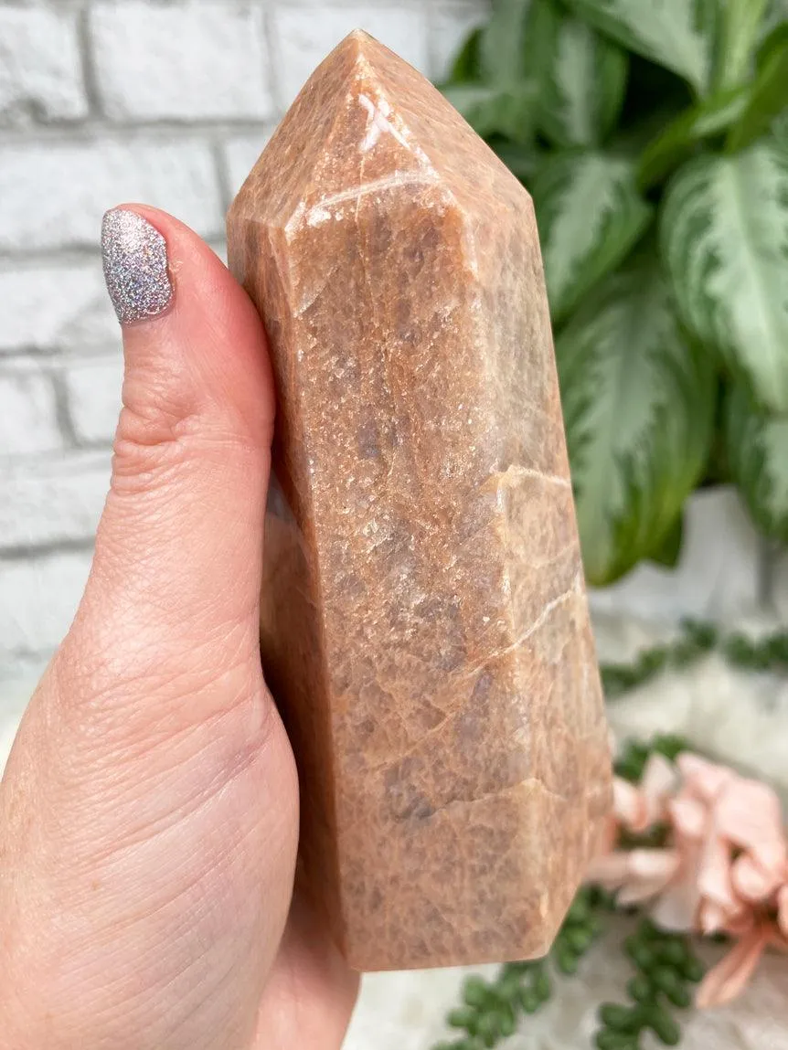 Peach Moonstone Point