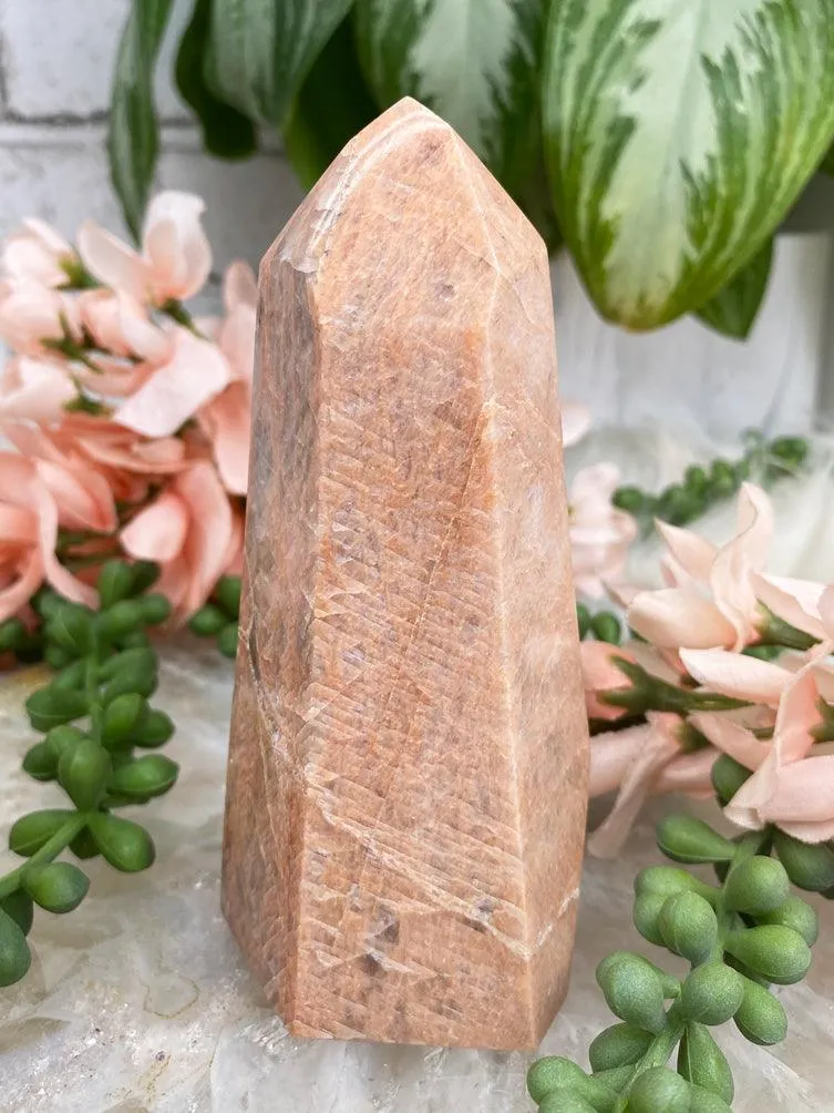 Peach Moonstone Point
